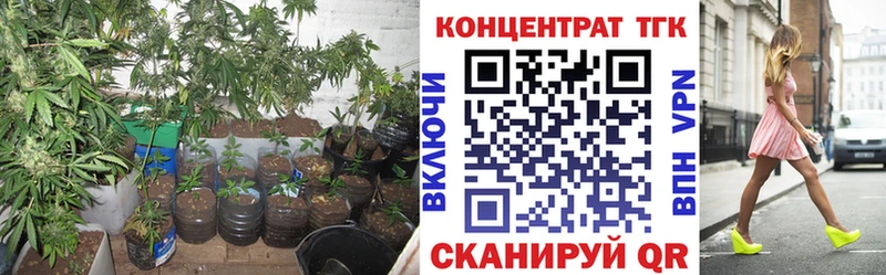ТГК гашишное масло  Купить  Макарьев 