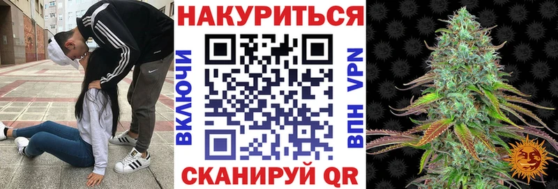 Канабис сатива Макарьев
