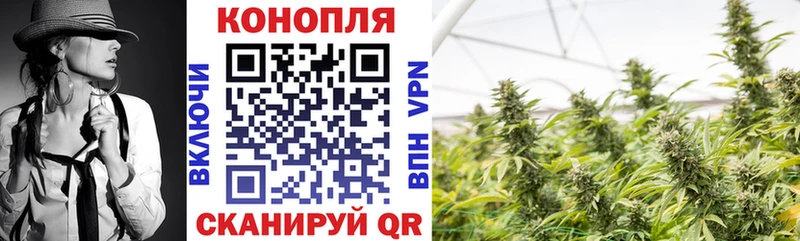 Купить где  Макарьев  Конопля Ganja 
